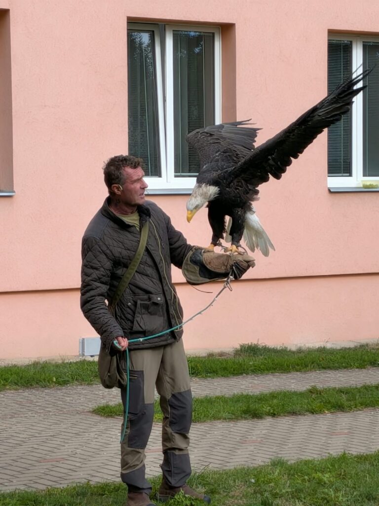 Sokolník v MŠ